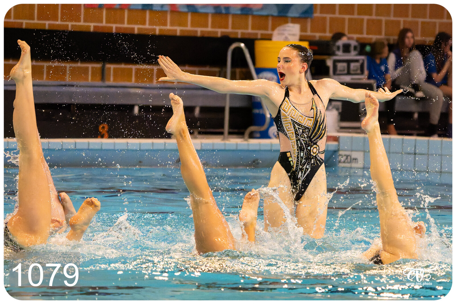 CHAMPIONNAT DE FRANCE DE NATATiON ARTISTIQUE N1 & ELITE 2026
